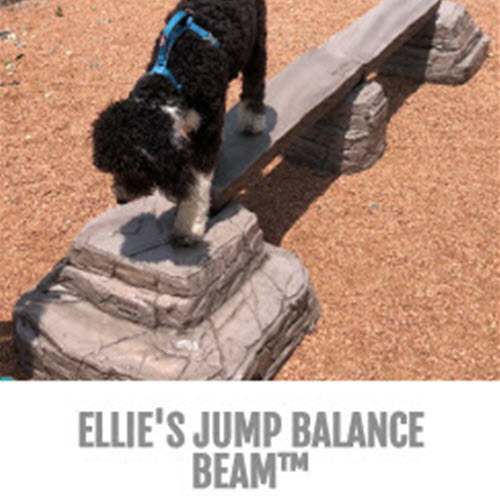 CAD Drawings BIM Models Gyms For Dogs™ Ellie's Jump Balance Beam™